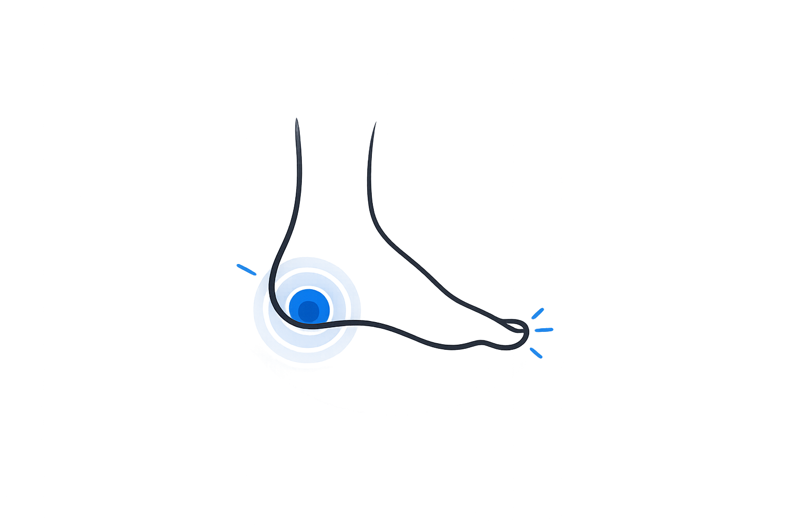 2cdfbec9-bff9-47b6-a346-5f1a96cf2f02.png
